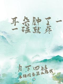 耳朵肿了一个包一碰就疼