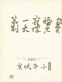 第一宠婚 总裁别太坏免费阅读