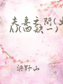 夫妻之间(出轨h)(四缺一)