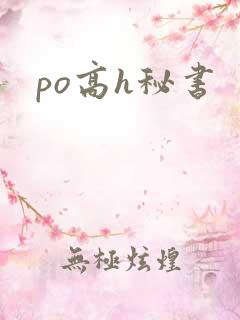 po高h秘书