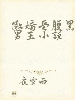 傲娇受腹黑攻双男主小说