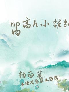 np高h小说纯肉