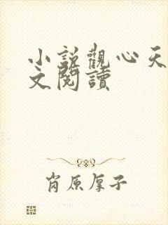 小说观心天术全文阅读