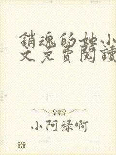 销魂的她小说全文免费阅读