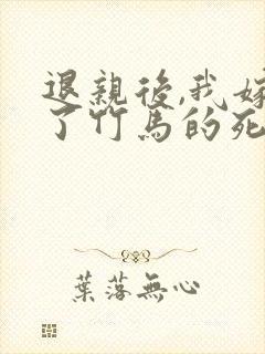 退亲后,我嫁给了竹马的死对头