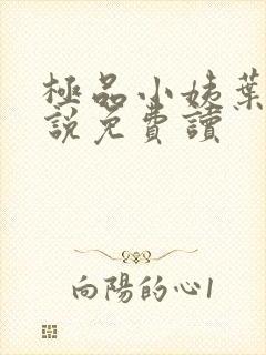 极品小姨叶凡小说免费读