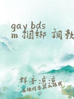 gay bdsm 捆绑 调教 男奴