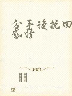 分手后挽回一段感情