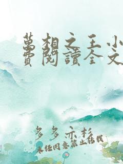 万相之王小说免费阅读全文无删减