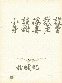 小说总裁误宠替身甜妻免费阅读