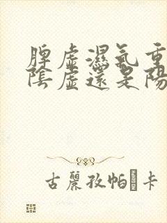 脾虚湿气重属于阴虚还是阳虚