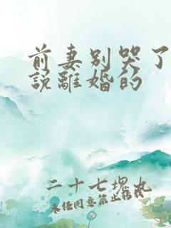 前妻别哭了是你说离婚的