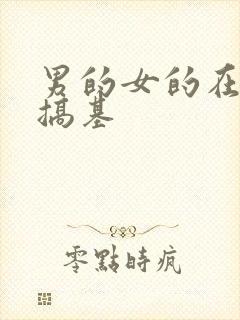 男的女的在床上搞基