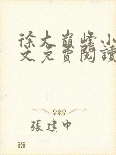 徐大巅峰小说全文免费阅读