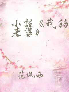 小说《我的空姐老婆》