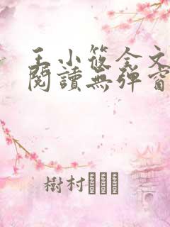 王小筱全文免费阅读无弹窗笔趣阁