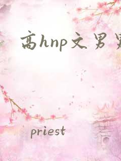 高hnp文男男