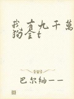 我有九千万亿舔狗金t