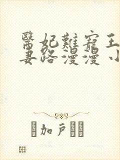 医妃难宠王爷追妻路漫漫 小说