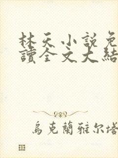 林天小说免费阅读全文大结局