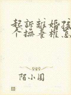 起诉离婚孩子两个抚养权怎么判