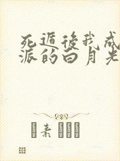 死遁后我成了反派的白月光