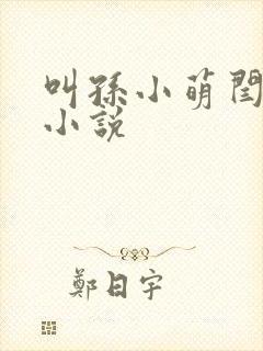 叫孙小萌闫辰的小说