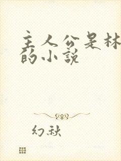 主人公是林小雨的小说