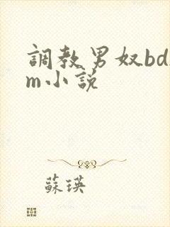 调教男奴bdsm小说