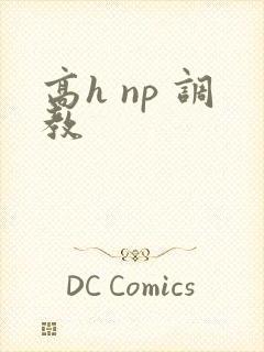 高h np 调教