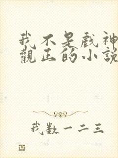 我不是戏神是三观正的小说吗