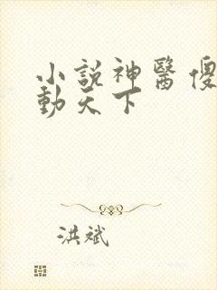 小说神医傻妃名动天下