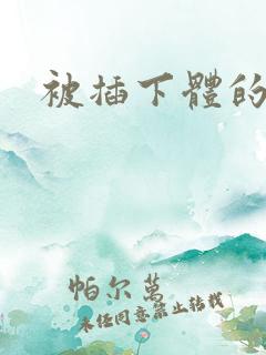 被插下体的小说