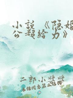 小说 《隐婚老公超给力》