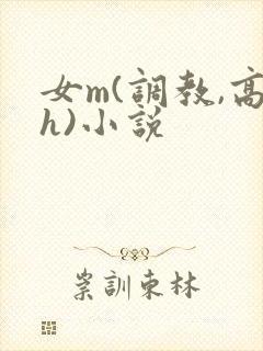 女m(调教,高h)小说