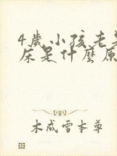 4岁小孩老是尿床是什么原因