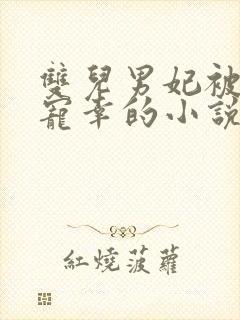 双儿男妃被皇上宠幸的小说