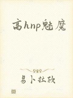 高hnp魅魔