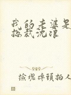 我的老婆是冰山总裁沈浪