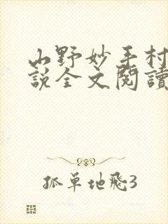 山野妙手村医小说全文阅读