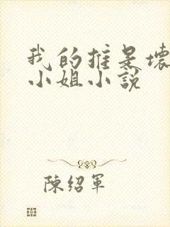 我的推是坏人大小姐小说