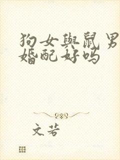 狗女与鼠男属相婚配好吗