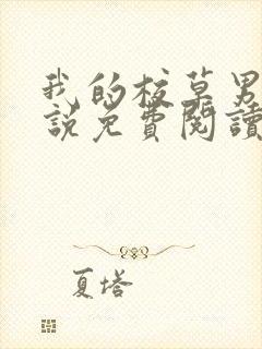 我的校草男友小说免费阅读