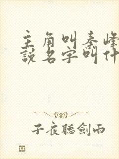 主角叫秦峰的小说名字叫什么