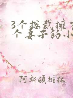 3个总裁拥有一个妻子的小说