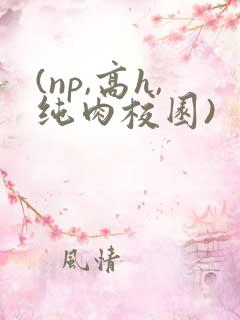 (np,高h,纯肉校园)