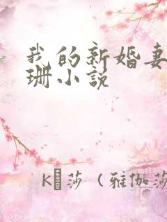 我的新婚妻子芷珊小说