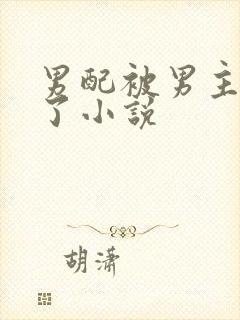 男配被男主啪啪了小说