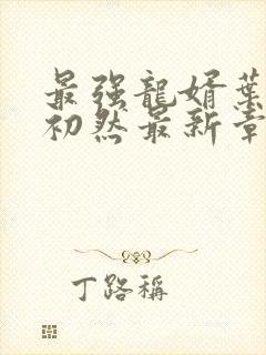 最强龙婿叶辰萧初然最新章节