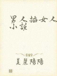 男人插女人下体小说